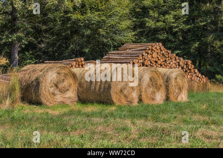 Battuto il legno e balle di fieno Foto Stock