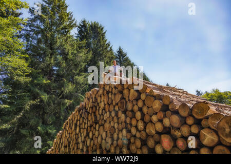 Un uomo è seduto su un enorme pila di legno. Su uno dei minori tronchi di alberi è in lingua tedesca: immettere vietata Foto Stock