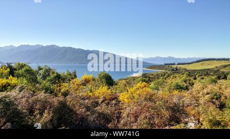 Lago dietro la steppa colorati, Nuova Zelanda Foto Stock