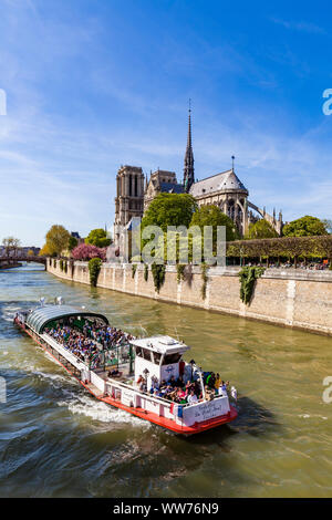 Francia, Parigi, Île de la CitÃ©, la cattedrale di Notre Dame, tour in barca sul fiume Senna Foto Stock