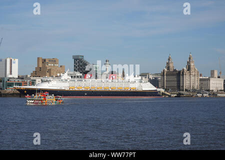 Liverpool, Regno Unito. Xiii Sep, 2019. Il Mersey Ferry passa nella parte anteriore della nave da crociera Disney Magic dopo che esso chiama in Liverpool cruise terminal di fronte al magnifico litorale edifici mentre su una 7 giorni di crociera intorno alle isole britanniche, che ha iniziato a dover chiamare a Dublino, Belfast, Greenock, Liverpool prima di terminare torna a Dover. Credito: ken biggs/Alamy Live News Foto Stock