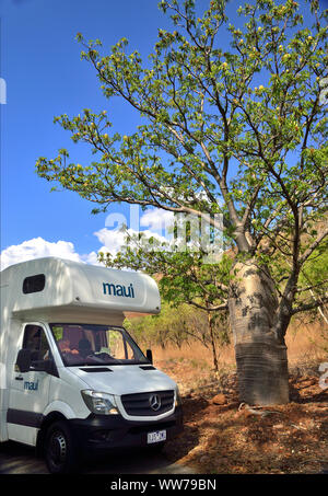 Tour turistici intorno al territorio del Nord a Nitmiluk National Park ammirando un baobab accanto a Katherine Gorge,Nord del territorio,estremità superiore,l'Australia Foto Stock