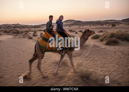 Un turista femminile su a dorso di cammello nel deserto del Thar con il suo driver di cammello al tramonto, Rajasthan, India. Foto Stock