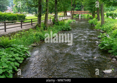 In Germania, in Baviera, Fichtelgebirge, Bad Berneck, Stream nel parco termale di Bad Berneck Foto Stock