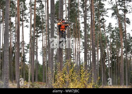 Unità impressioni di suoneria, cacciatori sulla seduta alta nella foresta Foto Stock