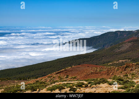 Commercio vento nuvole, Parco Nazionale di Teide Tenerife, Isole Canarie, Spagna Foto Stock