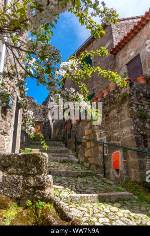 Visita del villaggio di pietra di Monsanto, Portogallo Foto Stock