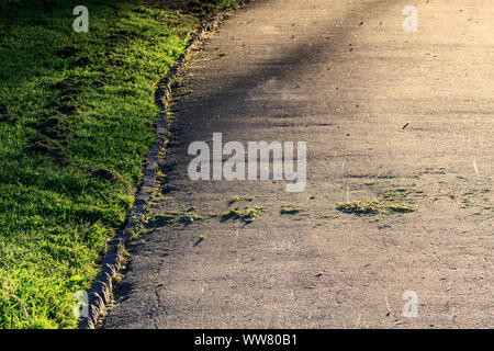 Il percorso appena erba rasata Foto Stock