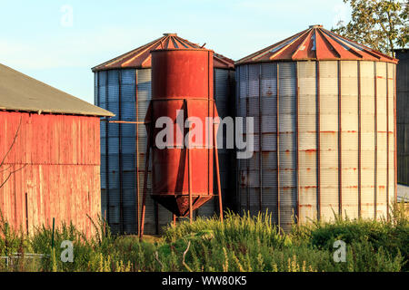 Silos in Hamburg-Billwerder, Germania, Europa Foto Stock