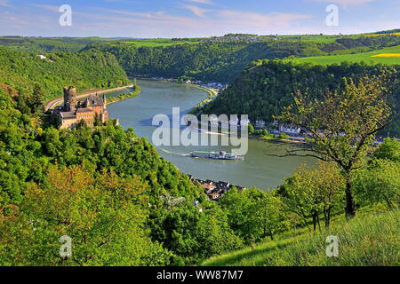 Valle del Reno con il castello Katz ed escursione nave paddlesteamer Goethe, Patersberg vicino San Goarshausen, Reno, valle del medio Reno, Reno, Renania-Palatinato, Germania Ovest, Germania Foto Stock