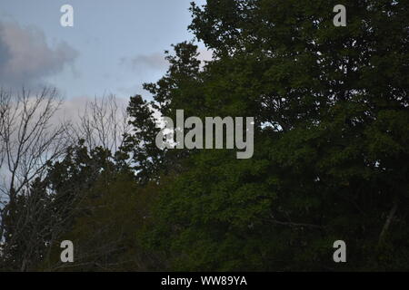 Immagine esterna in varie località Foto Stock