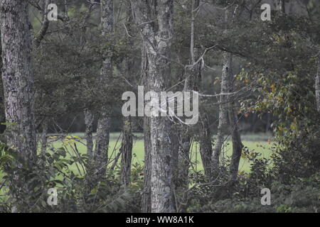 Immagine esterna in varie località Foto Stock