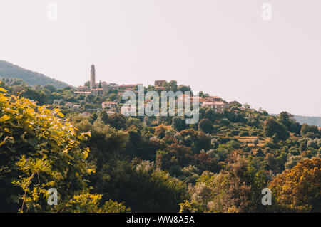 Lopigna, piccolo borgo situato nel verde delle montagne della Corsica con tipiche case Foto Stock