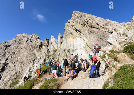 Lechtaler Alpen, Lechtal Alpi, escursionista a col Seescharte, Regione TirolWest, Tirolo, Austria Foto Stock