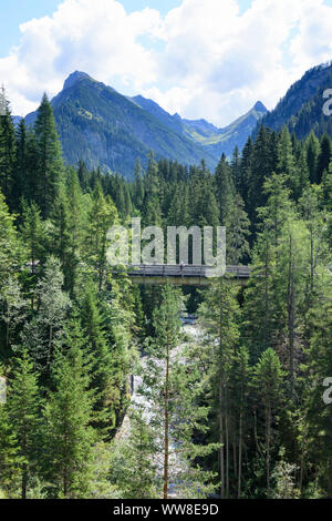 Lechtaler Alpen, Lechtal Alpi, ponte sul torrente Parseierbach, Lechtal Valley, Tirolo, Austria Foto Stock