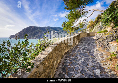 Sentiero escursionistico in Cinque Terre, Italia in una giornata di sole Foto Stock