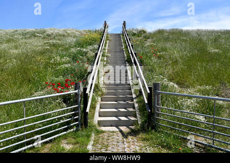 Una scala che conduce alla cima di un dke ON L'isola di Texel (Paesi Bassi) Foto Stock