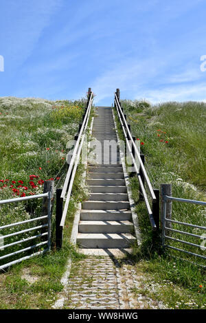 Una scala che conduce alla cima di un dke ON L'isola di Texel (Paesi Bassi) Foto Stock