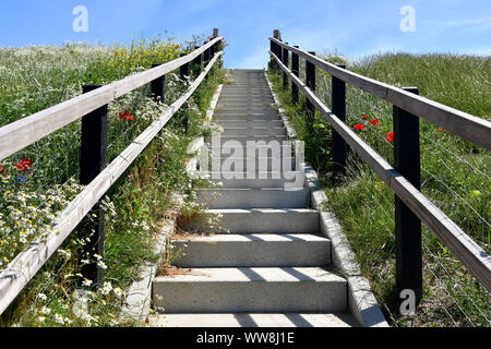 Una scala che conduce alla cima di un dke ON L'isola di Texel (Paesi Bassi) Foto Stock