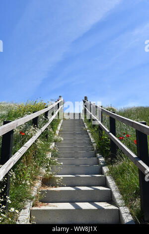 Una scala che conduce alla cima di un dke ON L'isola di Texel (Paesi Bassi) Foto Stock