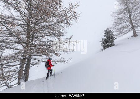 Sci alpinismo in Valle Aurina sotto una nevicata, Kasern, Predoi, Bolzano, Alto Adige, Italia Foto Stock