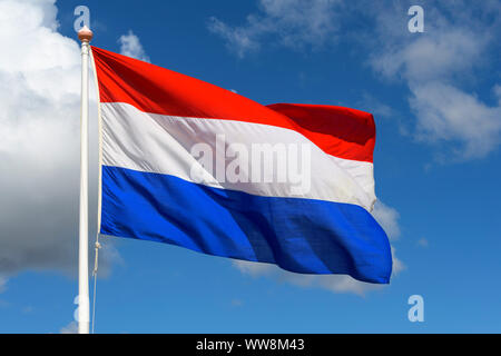 Bandiera olandese, Noordwijk aan Zee, mare del Nord, South Holland, Paesi Bassi Foto Stock