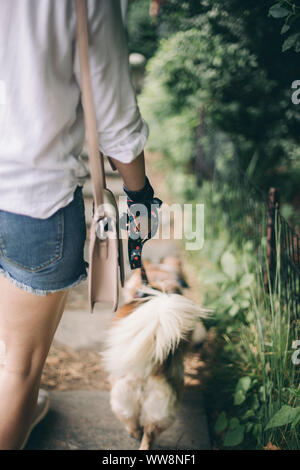 Giovane Donna che cammina con il suo cane nel parco Foto Stock