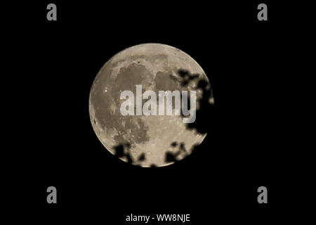 Londra, Regno Unito. 21 Luglio, 2019. Un Harvest Moon è visto il venerdì il tredicesimo a Londra, Regno Unito, che si verifica solo una volta ogni 20 anni in media. Stargazers per ultimi sono stati trattati per una luna piena il spooky data nel mese di ottobre 2000 e la prossima luna piena il venerdì il tredicesimo apparirà il 13 agosto 2049. Credito: Dinendra Haria/SOPA Immagini/ZUMA filo/Alamy Live News Foto Stock