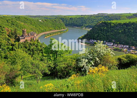 Valle del Reno con Katz Castello, Patersberg vicino San Goarshausen, Reno, Valle del Medio Reno, Reno, Renania-Palatinato, Germania Ovest, Germania Foto Stock