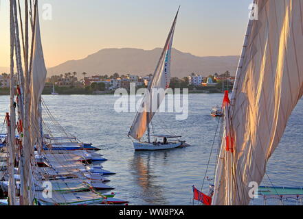 Barche a vela, feluche sulle rive del Nilo, Luxor, Alto Egitto Egitto Foto Stock