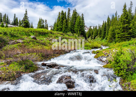 Fiume che scorre sul rebus Creek Trail in Aspen Colorado nel 2019 estate con acqua bianca dopo snowmelt vicino a sorgenti calde Foto Stock