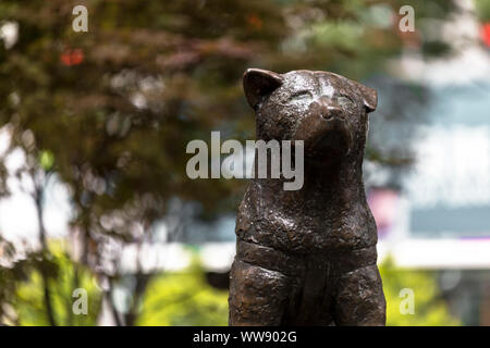 Statua di Hachiko, un giapponese Akita cane ricordato per la sua notevole fedeltà al suo proprietario Foto Stock