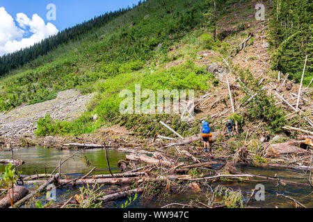 Aspen, Stati Uniti d'America - 15 Luglio 2019: Log albero caduto incrocio pericoloso con persone backpackers a Snowmass creek sul sentiero escursionistico in Colorado Foto Stock