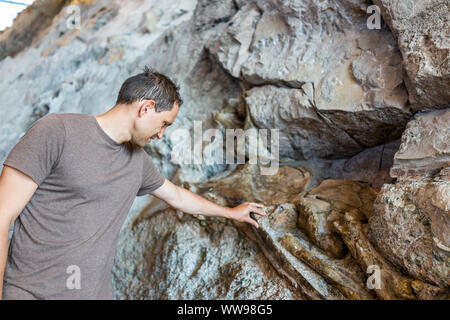 Uomo di toccare le ossa in Quarry visitor center sala espositiva in Dinosaur National Monument Park di fossili sulla parete in Utah Foto Stock