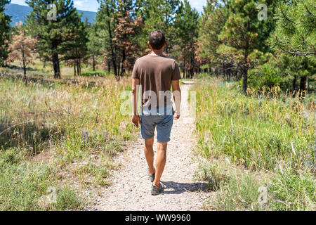 John olandese, USA Flaming Gorge in estate in Utah Parco Nazionale con uomo a camminare sul sentiero percorso vicino alla foresta di alberi di pino Foto Stock