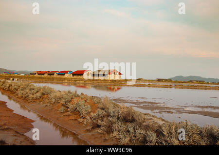 Famosi campi di sale di Kampot, Cambogia Foto Stock