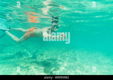 Uomo con stelle marine subacquee snorkeling nel mar dei Caraibi, Antille, America Centrale Foto Stock