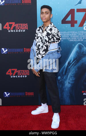 "47 metri giù: Uncaged' Premiere al Westwood Regency Theatre di Los Angeles, la California il 13 agosto 2019 dotate di: Guest dove: Los Angeles, California, Stati Uniti quando: 14 Ago 2019 Credit: Sheri Determan/WENN.com Foto Stock