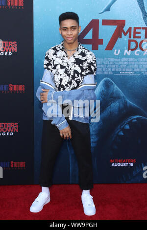 "47 metri giù: Uncaged' Premiere al Westwood Regency Theatre di Los Angeles, la California il 13 agosto 2019 dotate di: Guest dove: Los Angeles, California, Stati Uniti quando: 14 Ago 2019 Credit: Sheri Determan/WENN.com Foto Stock