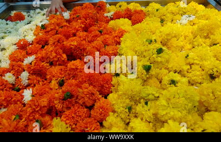 Mazzetto di un bel colore arancione e giallo calendula fiori saranno utilizzati per ghirlande per la vendita in un super mercato e catturato di zoom per le immagini di auguri Foto Stock