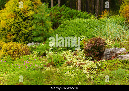 Vegetazione diversificata nella zona del parco con paesaggio Foto Stock