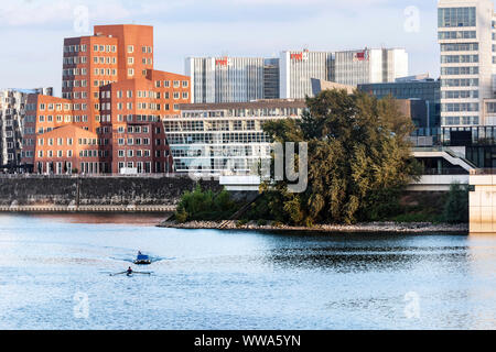 Formazione di canottaggio nel Dusseldorfer Medienhafen Foto Stock