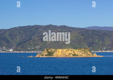 Vista dal traghetto Interislander collegando il Nord e isola del Sud della Nuova Zelanda Foto Stock