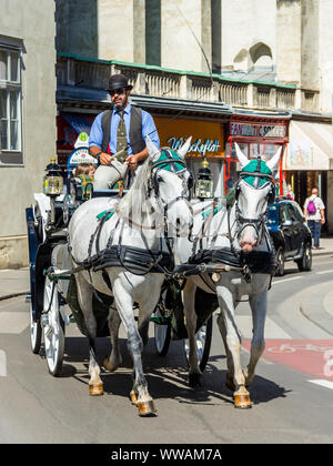 Carrozza a cavalli (Fiaker) che trasportano i turisti intorno alla Ringstrasse ring road, Vienna, Austria. Foto Stock