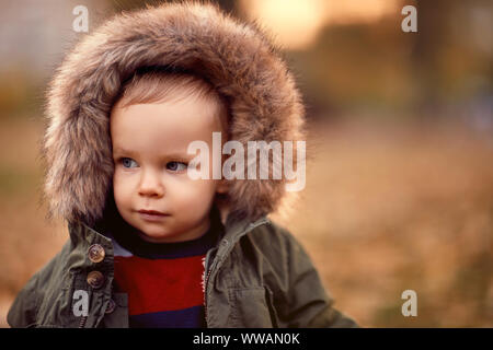 Ritratto di Little Boy in autunno park Foto Stock