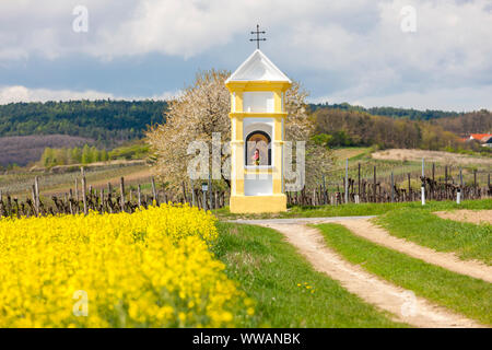 Gli dèi la tortura nei pressi di Retz, Austria Foto Stock