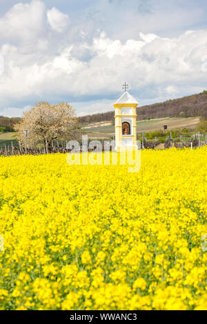 Gli dèi la tortura nei pressi di Retz, Austria Foto Stock