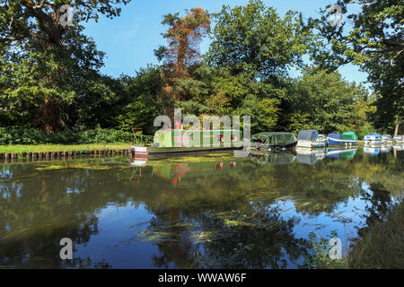 Barche ormeggiate sulle rive del fiume Wey come si unisce a Basingstoke Canal tra West Byfleet e New Haw, Surrey, Inghilterra sudorientale, REGNO UNITO Foto Stock