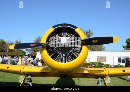 Goodwood 13 Settembre 2019 - 1940 North American A6A Foto Stock