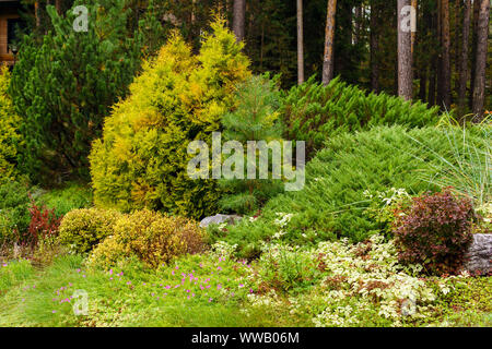 Vegetazione diversificata nella zona del parco con paesaggio Foto Stock